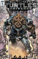 TMNT UNIVERSE #17 CVR A WILLIAMS II